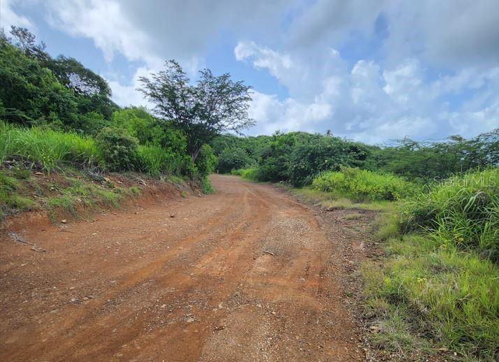 1, Barrio Frailes, Culebra - 7