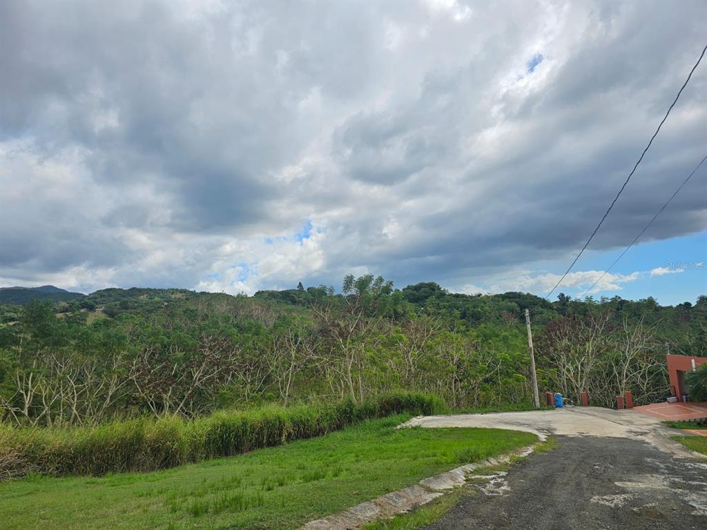 Bo. Santana Solar 8, Carr 363 Km.hm 0.9, Sabana Grande - 1