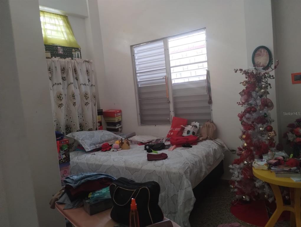 #48, Calle Santa Rosa, San German - 11