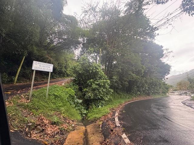 816, Bo Nuevo, Bayamon - 2