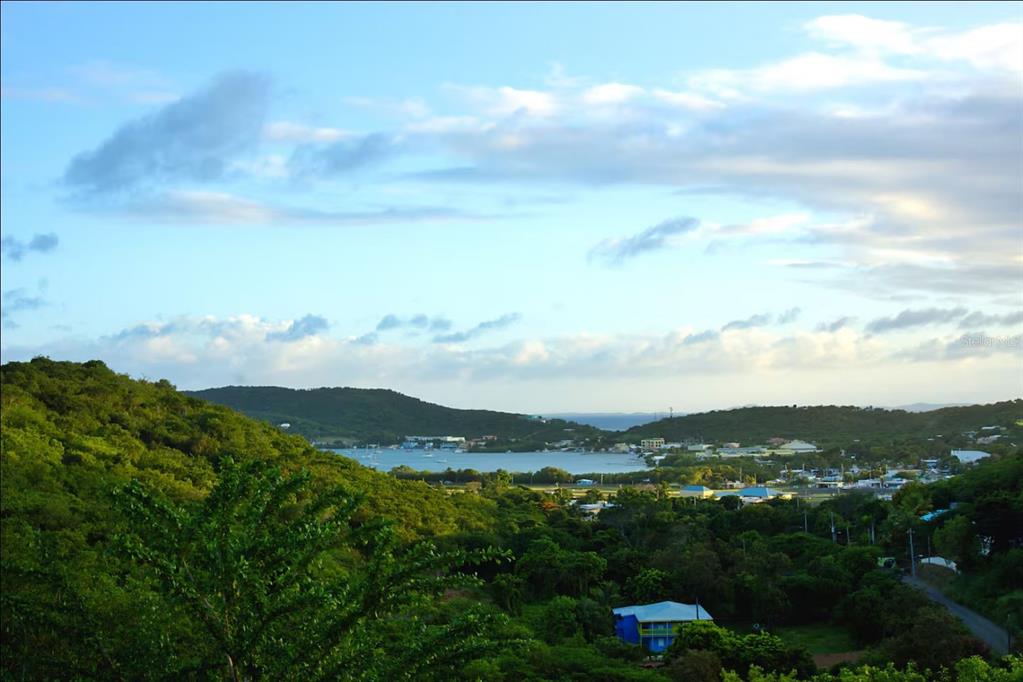 5r, Mount Resaca Barrio Flamenco, Culebra - 3
