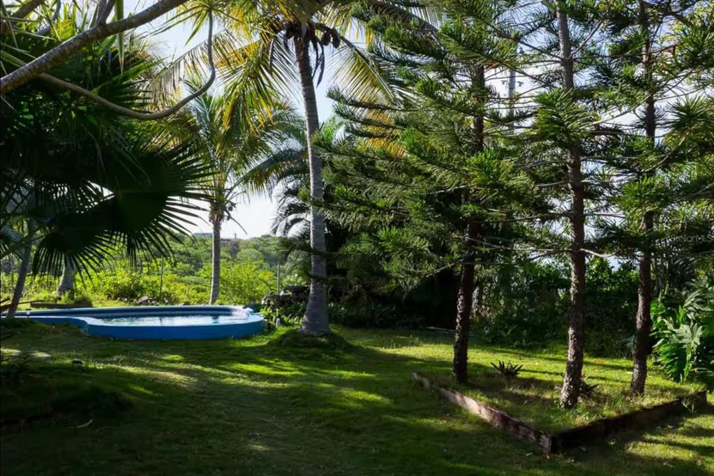 5r, Mount Resaca Barrio Flamenco, Culebra - 52