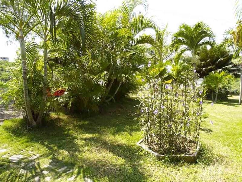 5r, Mount Resaca Barrio Flamenco, Culebra - 54