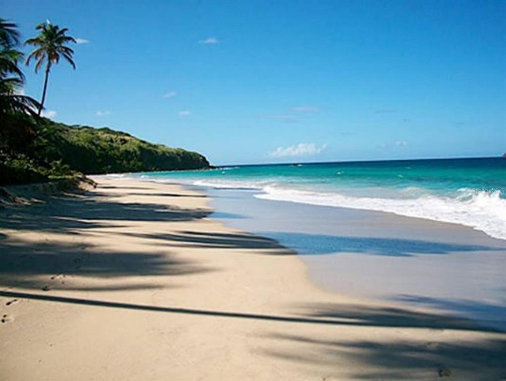 5r, Mount Resaca Barrio Flamenco, Culebra - 69