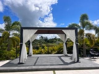 Lot 8 Pr-159 Km 1.9 Inter, Bo. Unibon, Morovis - 4