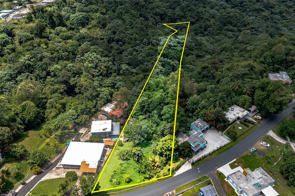 Cuchillas Ward, State Road 618 Km1.6, Morovis - 1