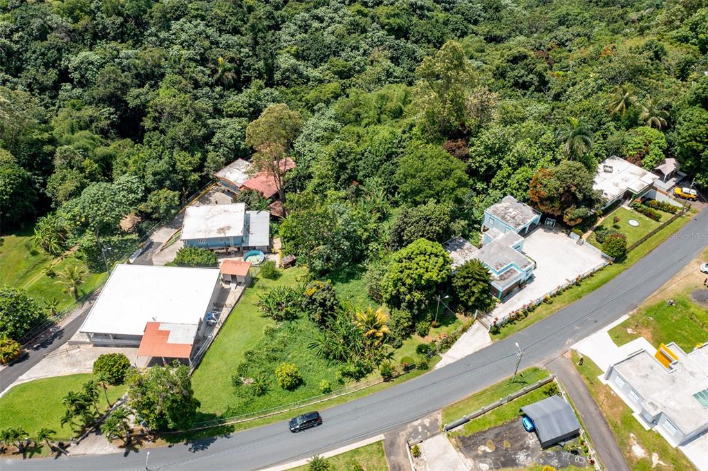 Cuchillas Ward, State Road 618 Km1.6, Morovis - 3