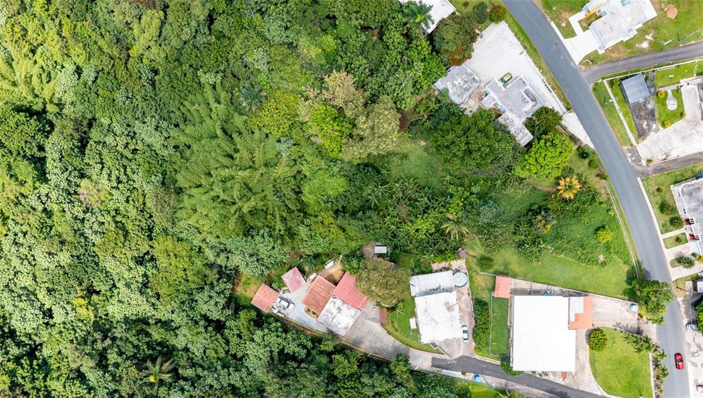 Cuchillas Ward, State Road 618 Km1.6, Morovis - 4