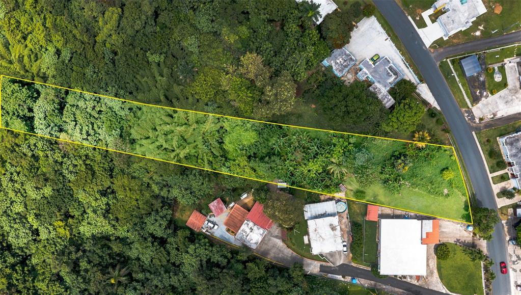 Cuchillas Ward, State Road 618 Km1.6, Morovis - 5