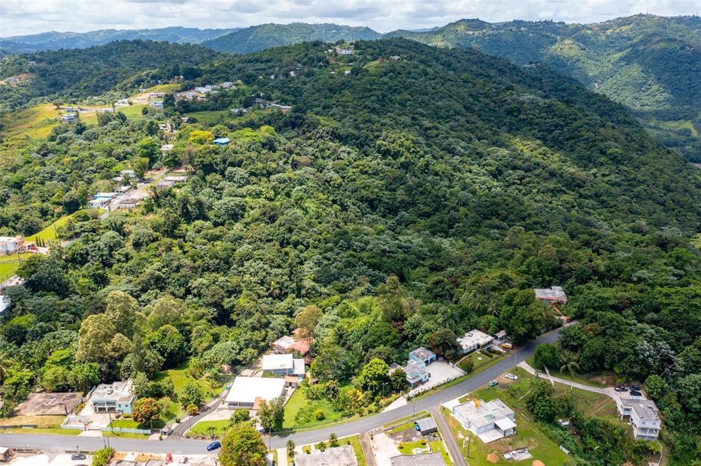 Cuchillas Ward, State Road 618 Km1.6, Morovis - 6