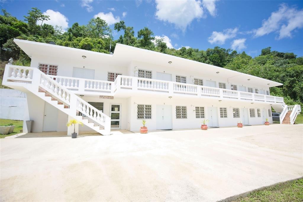 135, Villa Perez, Adjuntas - 10