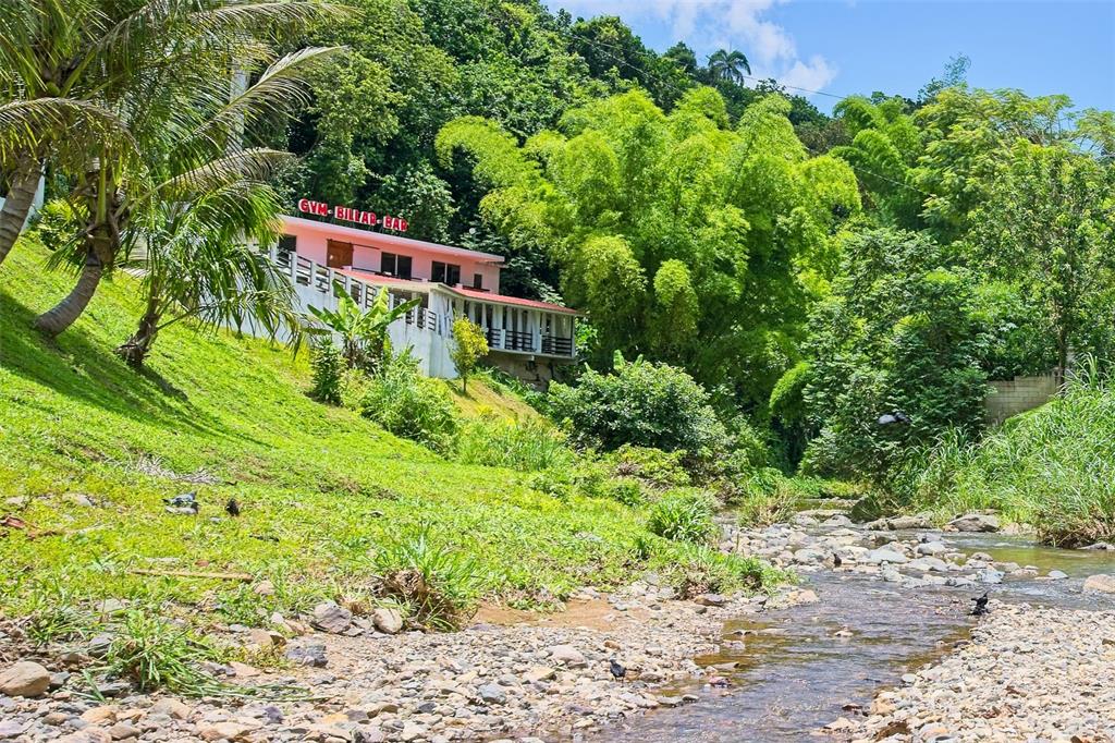 135, Villa Perez, Adjuntas - 11