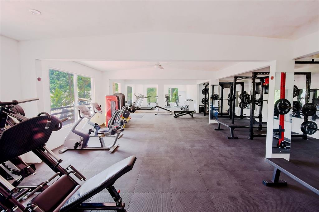 135, Villa Perez, Adjuntas - 17