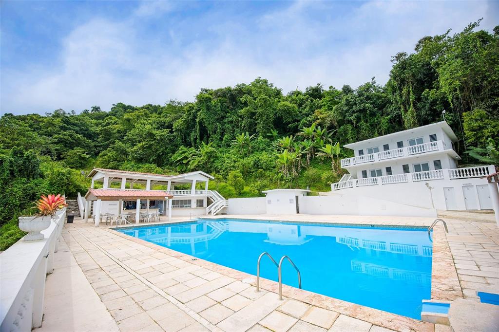 135, Villa Perez, Adjuntas - 22