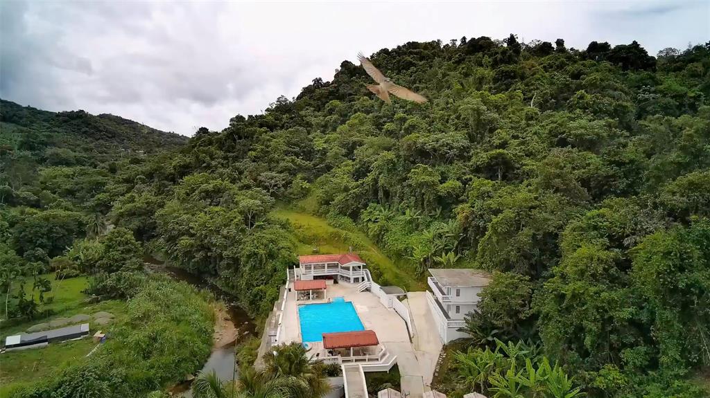 135, Villa Perez, Adjuntas - 27