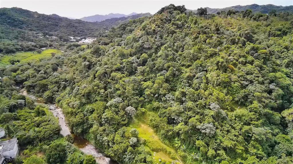 135, Villa Perez, Adjuntas - 29
