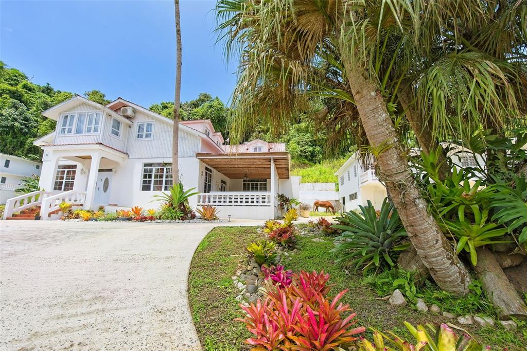 135, Villa Perez, Adjuntas - 3
