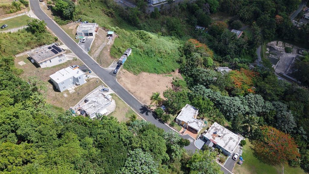 164 St. Km 4.4, Bo. Nuevo, Naranjito - 11