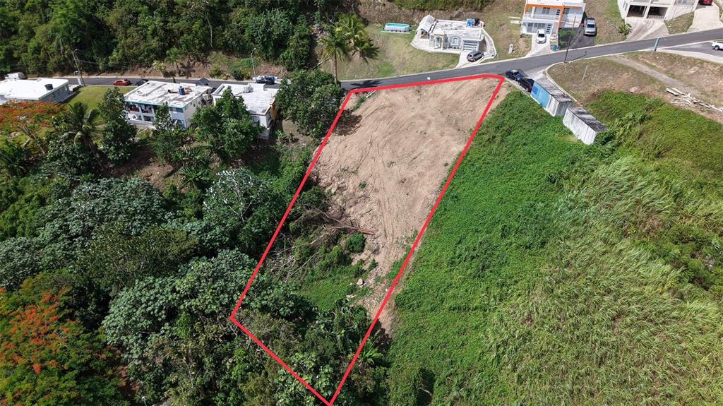 164 St. Km 4.4, Bo. Nuevo, Naranjito - 14
