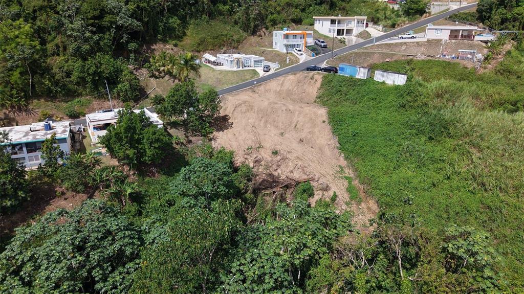164 St. Km 4.4, Bo. Nuevo, Naranjito - 15