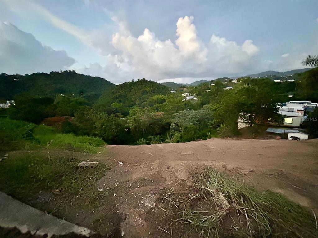 164 St. Km 4.4, Bo. Nuevo, Naranjito - 2