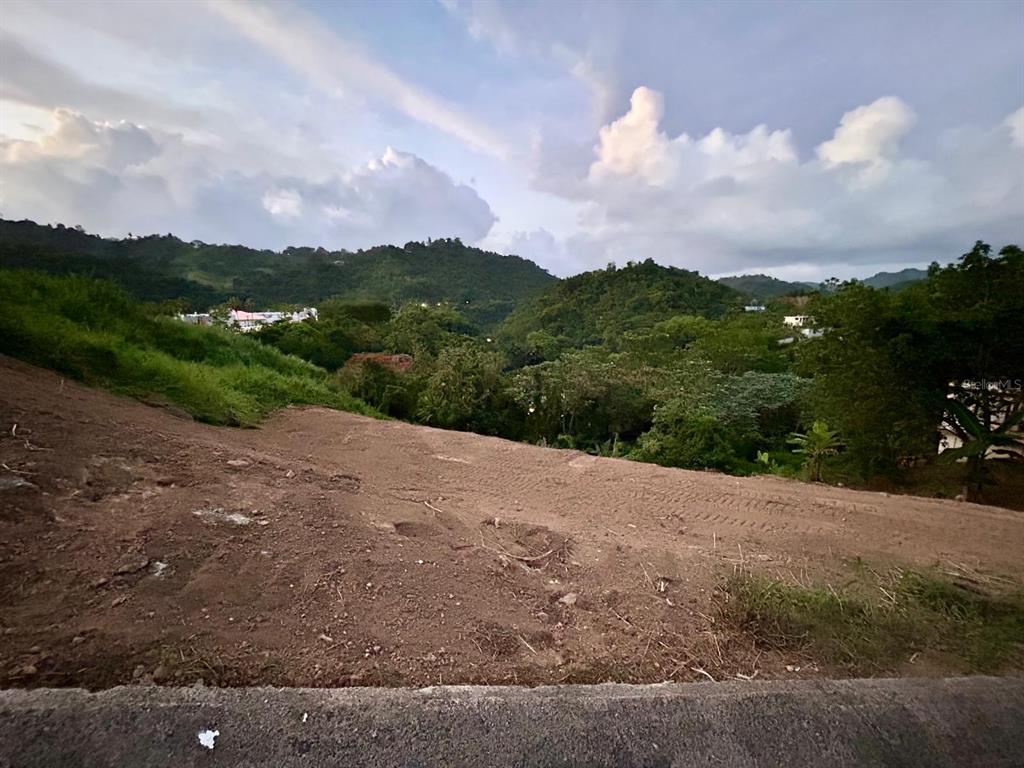 164 St. Km 4.4, Bo. Nuevo, Naranjito - 3