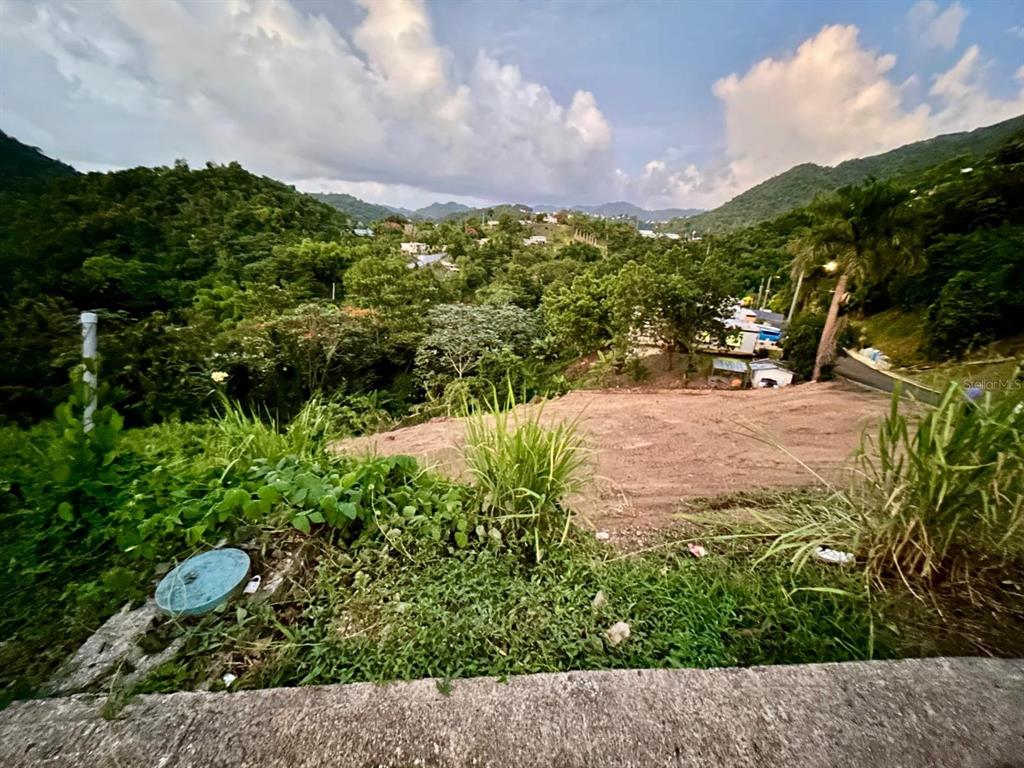 164 St. Km 4.4, Bo. Nuevo, Naranjito - 4
