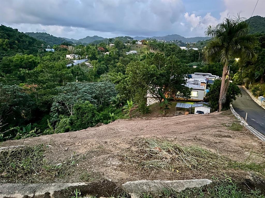 164 St. Km 4.4, Bo. Nuevo, Naranjito - 5