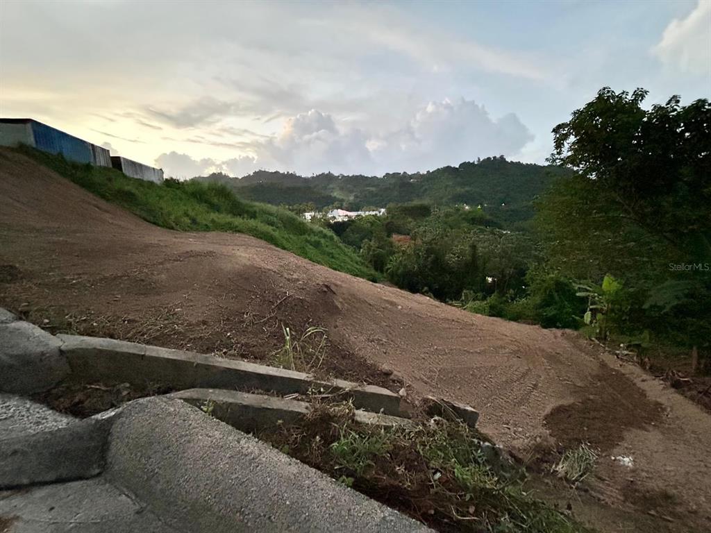 164 St. Km 4.4, Bo. Nuevo, Naranjito - 6