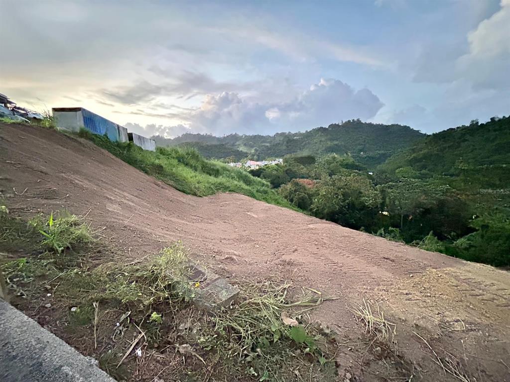 164 St. Km 4.4, Bo. Nuevo, Naranjito - 7