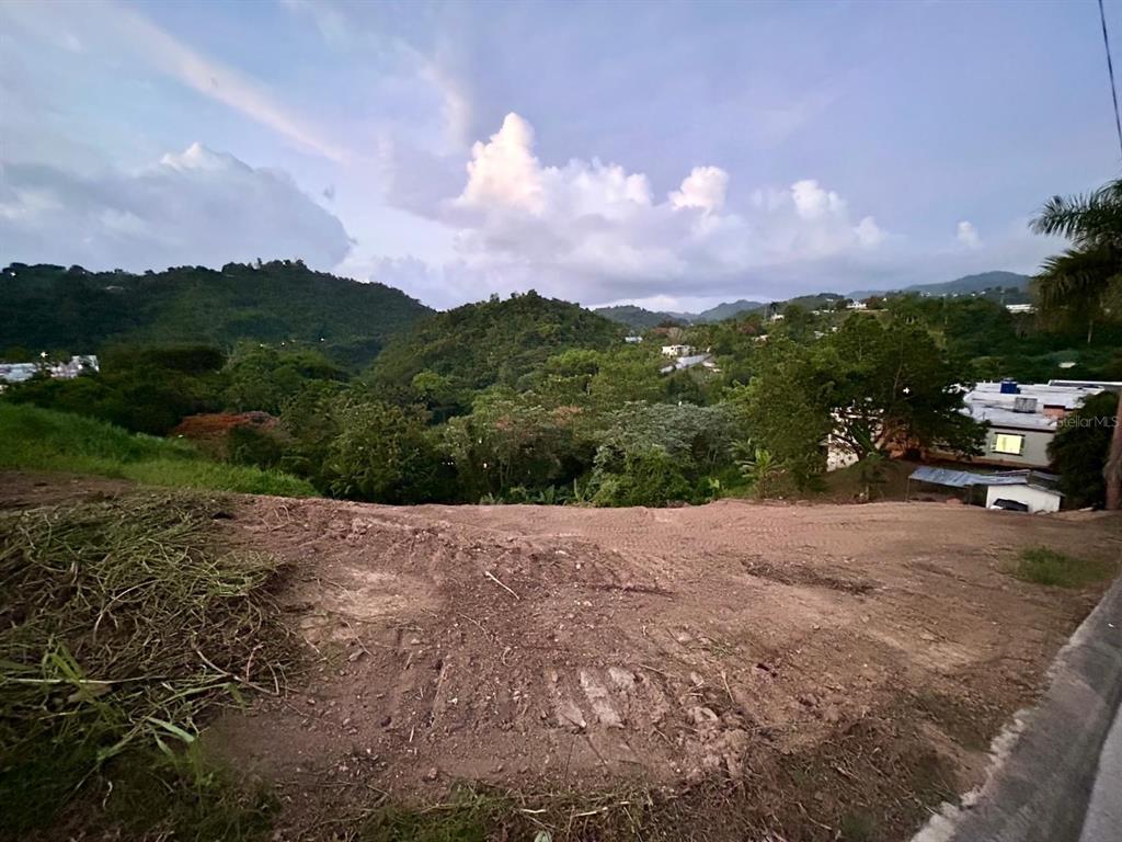 164 St. Km 4.4, Bo. Nuevo, Naranjito - 8