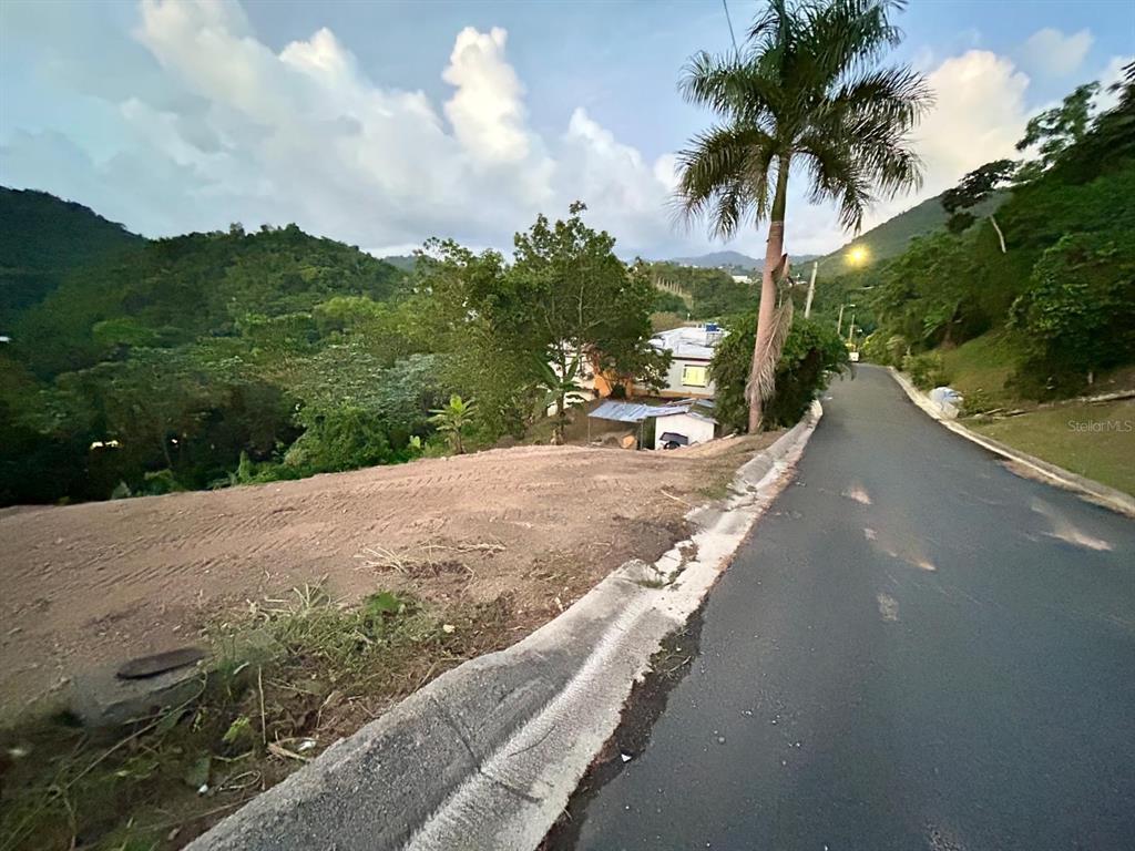 164 St. Km 4.4, Bo. Nuevo, Naranjito - 9