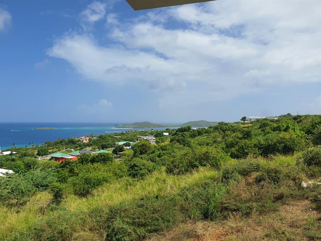 8, Alturas De Zoni, Culebra - 10