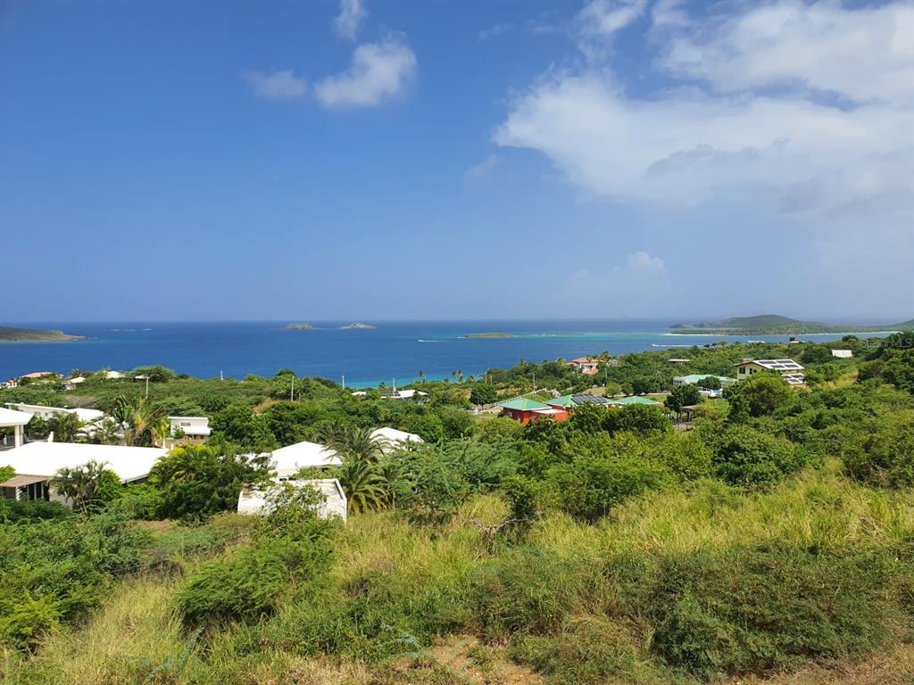 8, Alturas De Zoni, Culebra - 9
