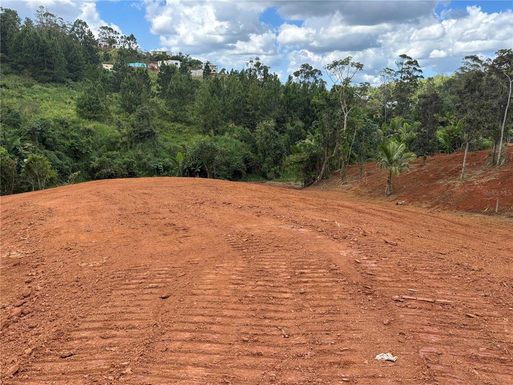 Carr 569 Km 2.7 Int Bo. Sabana, Orocovis - 1
