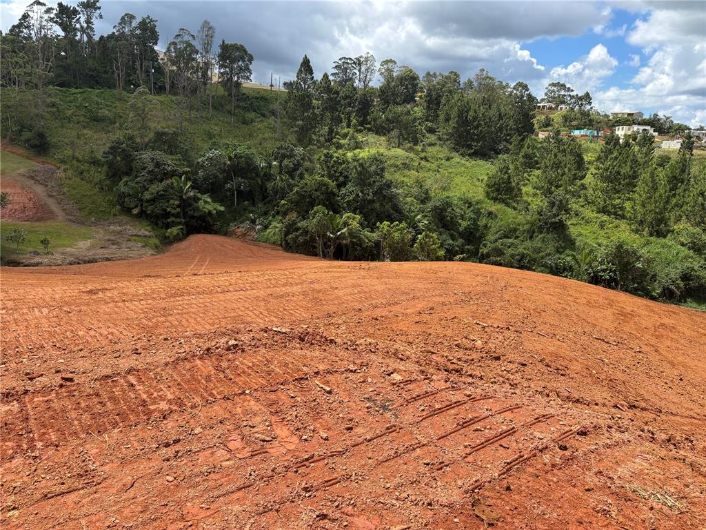 Carr 569 Km 2.7 Int Bo. Sabana, Orocovis - 10