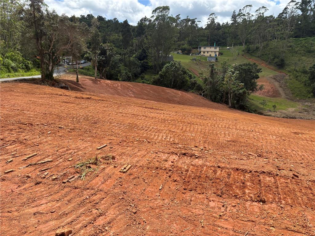Carr 569 Km 2.7 Int Bo. Sabana, Orocovis - 11