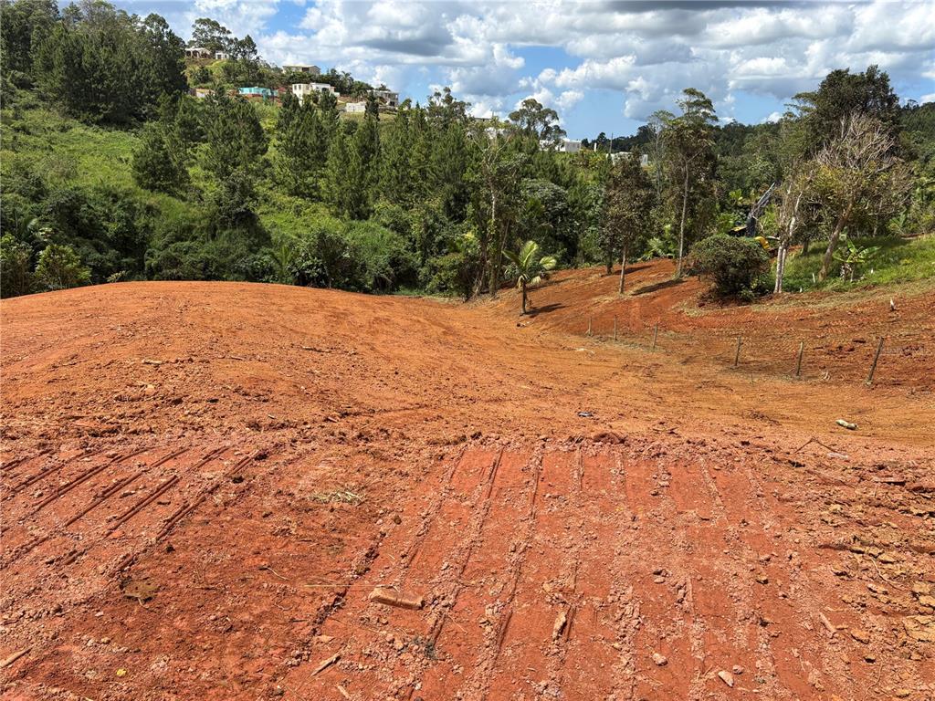 Carr 569 Km 2.7 Int Bo. Sabana, Orocovis - 12