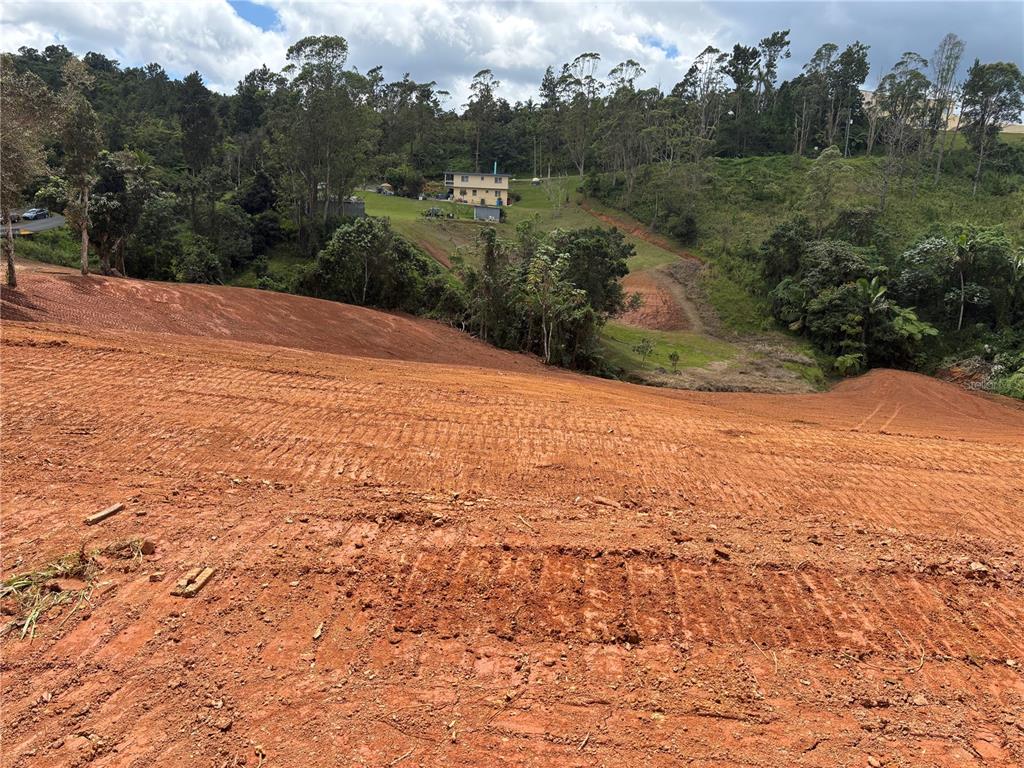 Carr 569 Km 2.7 Int Bo. Sabana, Orocovis - 13