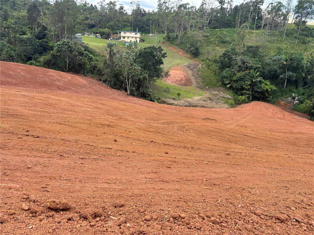 Carr 569 Km 2.7 Int Bo. Sabana, Orocovis - 2
