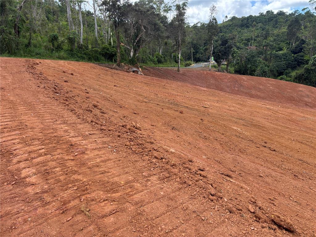 Carr 569 Km 2.7 Int Bo. Sabana, Orocovis - 3