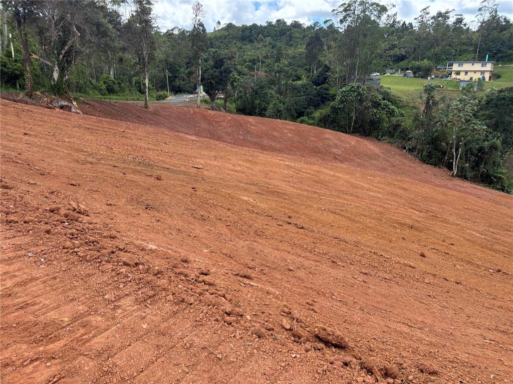 Carr 569 Km 2.7 Int Bo. Sabana, Orocovis - 4