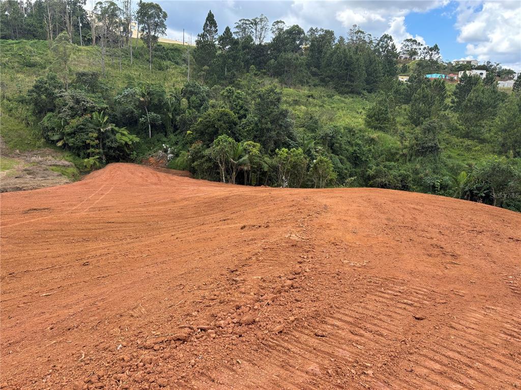 Carr 569 Km 2.7 Int Bo. Sabana, Orocovis - 5
