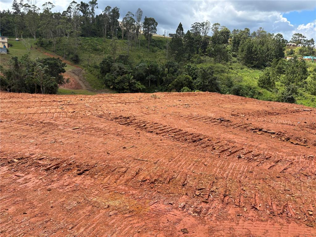Carr 569 Km 2.7 Int Bo. Sabana, Orocovis - 6