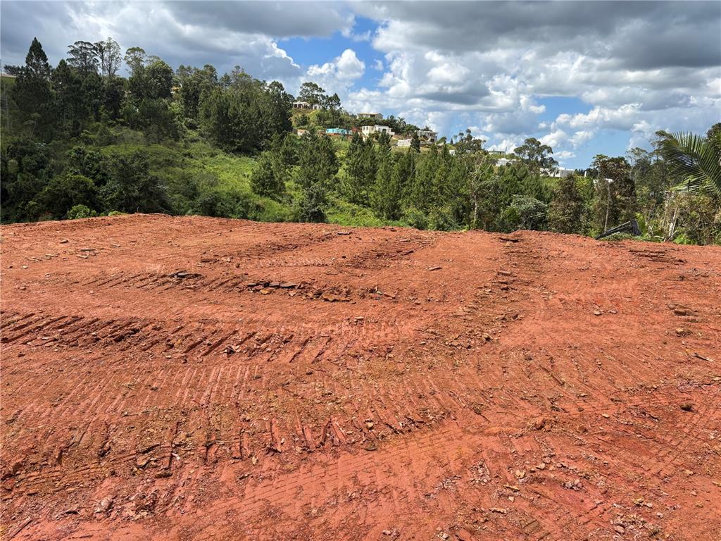 Carr 569 Km 2.7 Int Bo. Sabana, Orocovis - 7