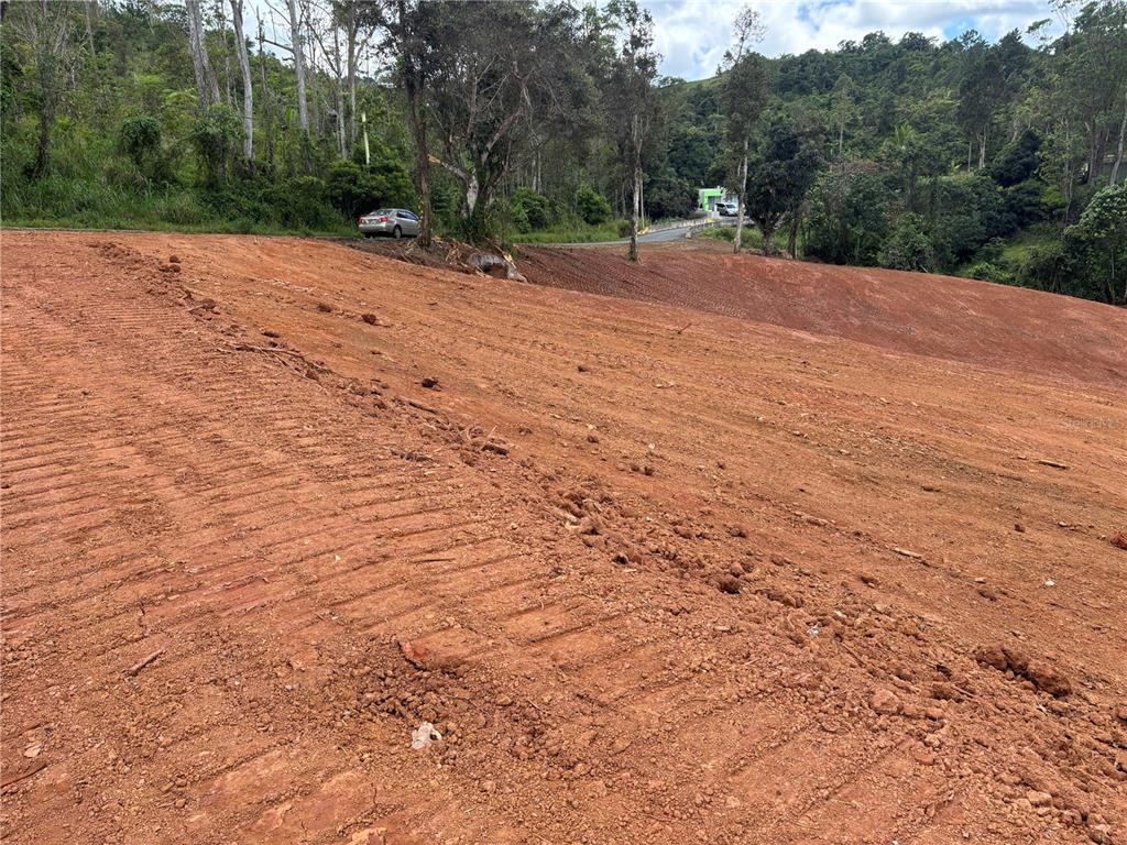 Carr 569 Km 2.7 Int Bo. Sabana, Orocovis - 8