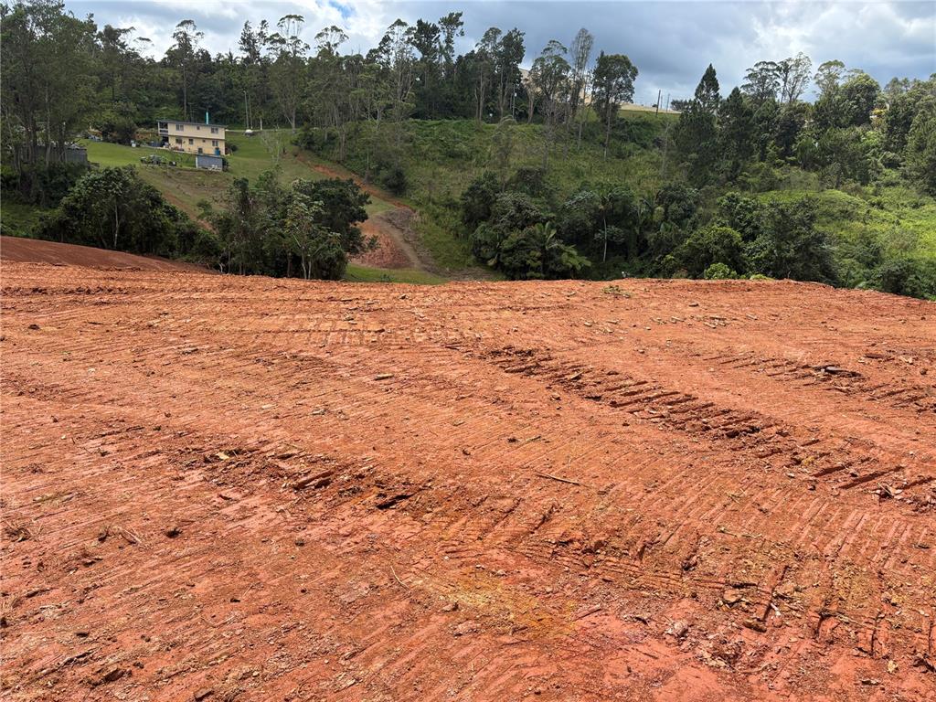 Carr 569 Km 2.7 Int Bo. Sabana, Orocovis - 9