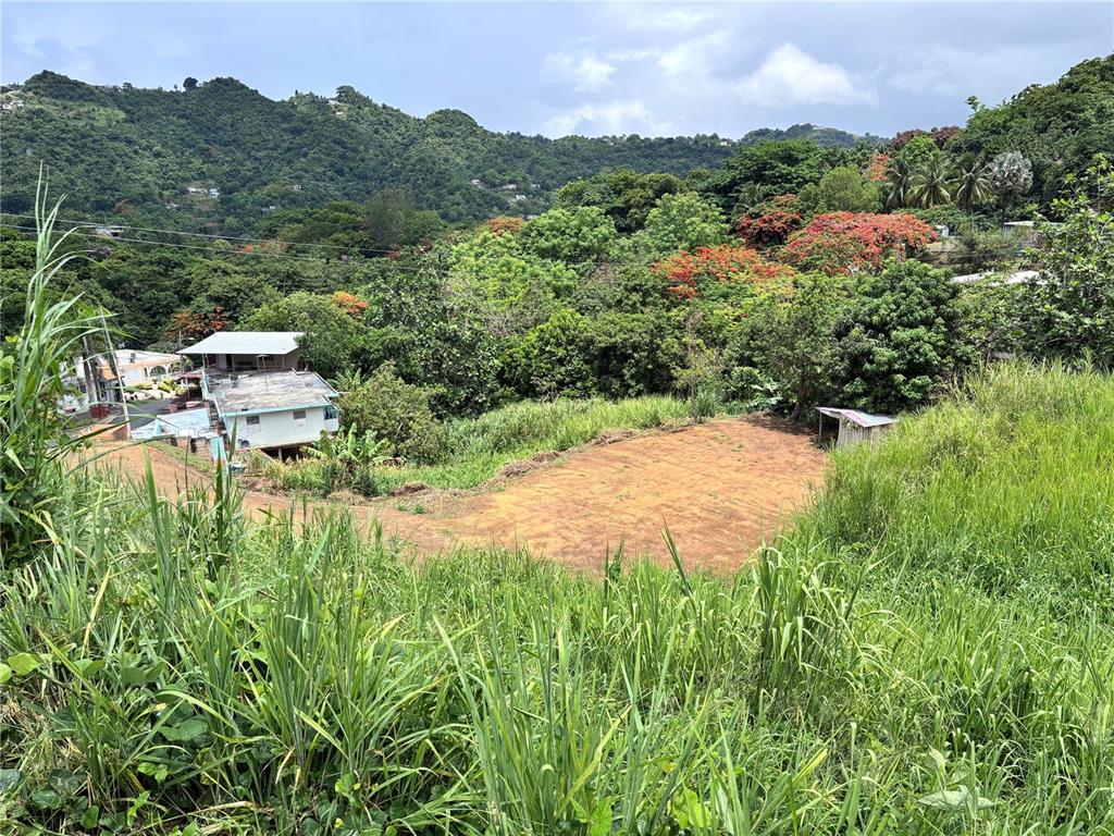 Barrio Guadiana, Camino Colon, Naranjito - 2