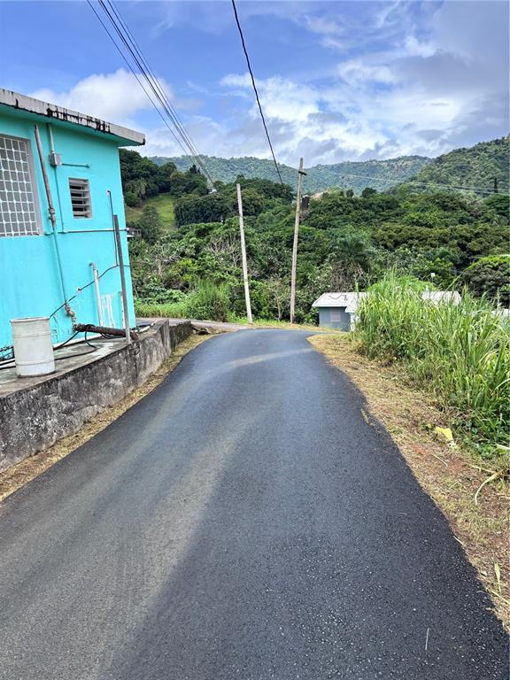 Barrio Guadiana, Camino Colon, Naranjito - 3