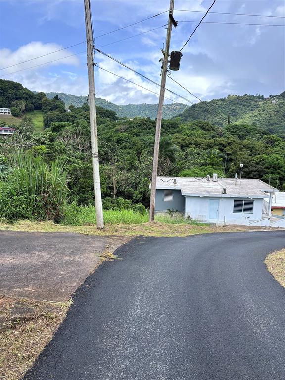 Barrio Guadiana, Camino Colon, Naranjito - 5